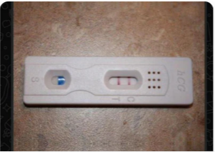 Everything Normal But No Results